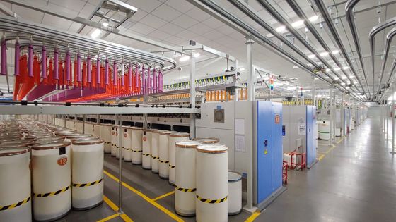 Cuerdas de poliéster reciclado 70% 30% Birla Livaeco Viscose NE30/1 para tejido/tricotado